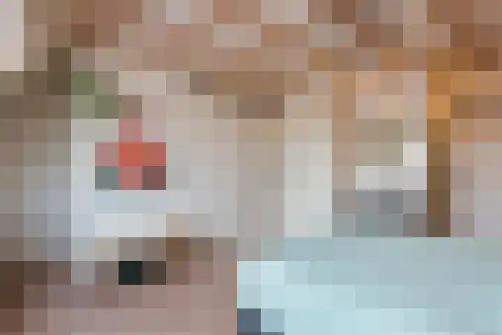 Zuidoever 15 Roelofarendsveen thumbnail 25