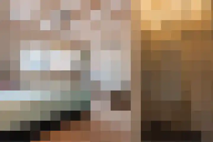 Zuidoever 15 Roelofarendsveen thumbnail 26