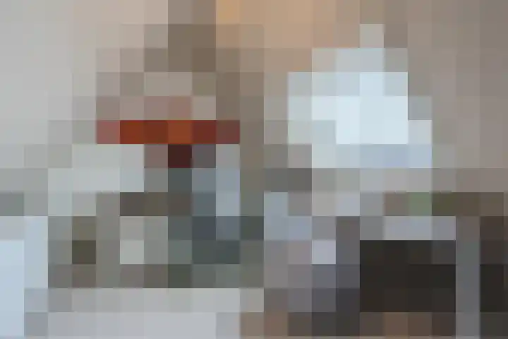 Zuidoever 15 Roelofarendsveen thumbnail 32