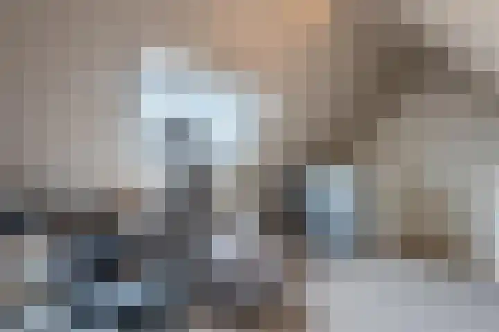 Zuidoever 15 Roelofarendsveen thumbnail 33