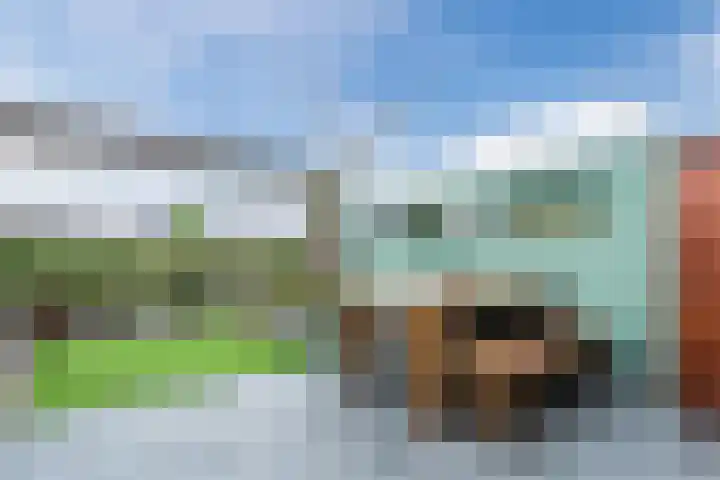Zuidoever 15 Roelofarendsveen thumbnail 34