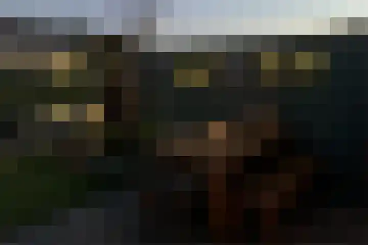 Zuidoever 15 Roelofarendsveen thumbnail 35