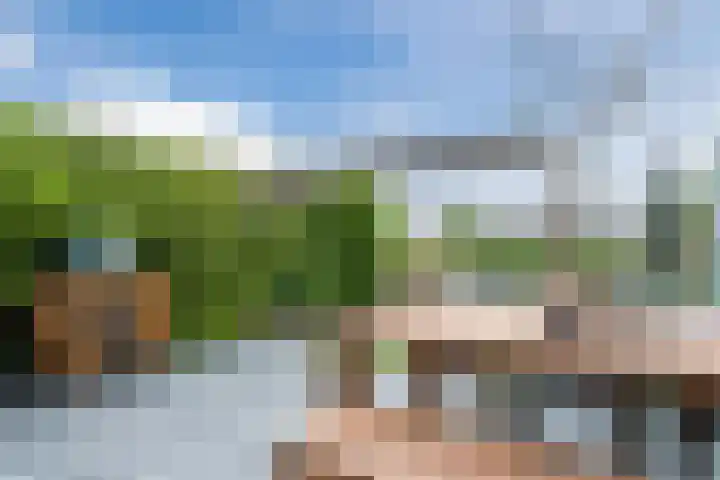 Zuidoever 15 Roelofarendsveen thumbnail 36