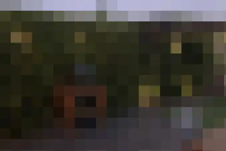 Zuidoever 15 Roelofarendsveen thumbnail 37