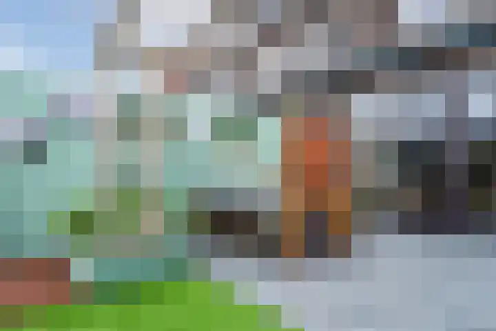 Zuidoever 15 Roelofarendsveen thumbnail 38