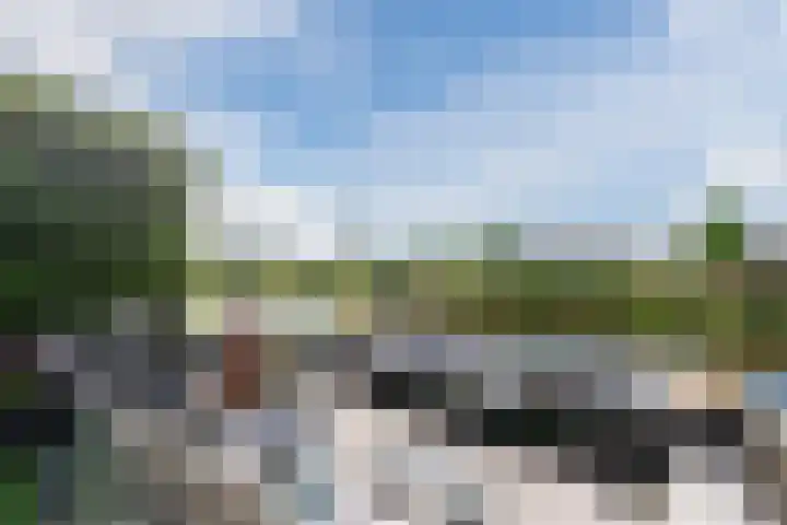 Zuidoever 15 Roelofarendsveen thumbnail 39
