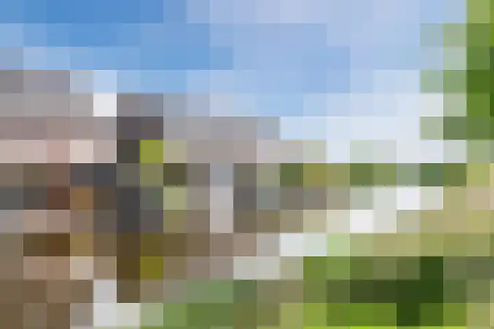 Zuidoever 15 Roelofarendsveen thumbnail 43