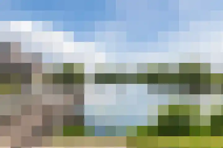 Zuidoever 15 Roelofarendsveen thumbnail 44