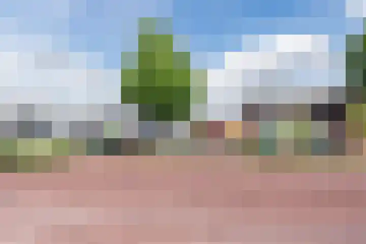 Zuidoever 15 Roelofarendsveen thumbnail 45
