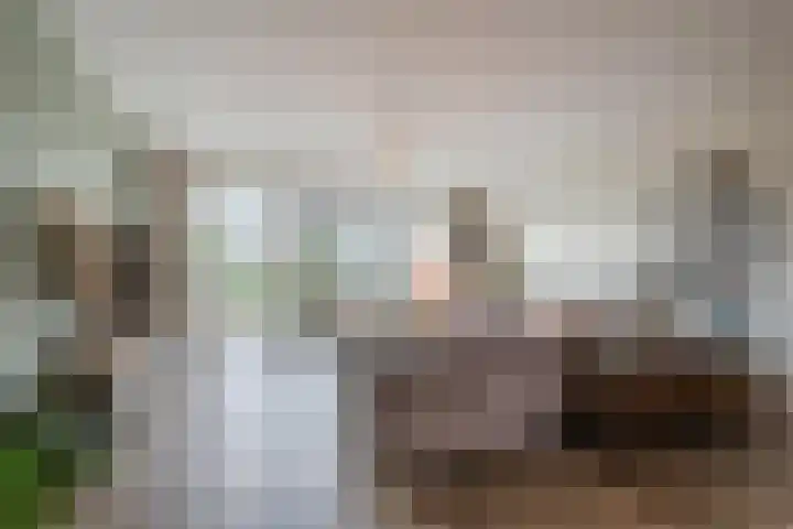 Zuidoever 15 Roelofarendsveen thumbnail 5