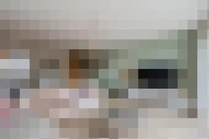 Zuidoever 15 Roelofarendsveen thumbnail 7