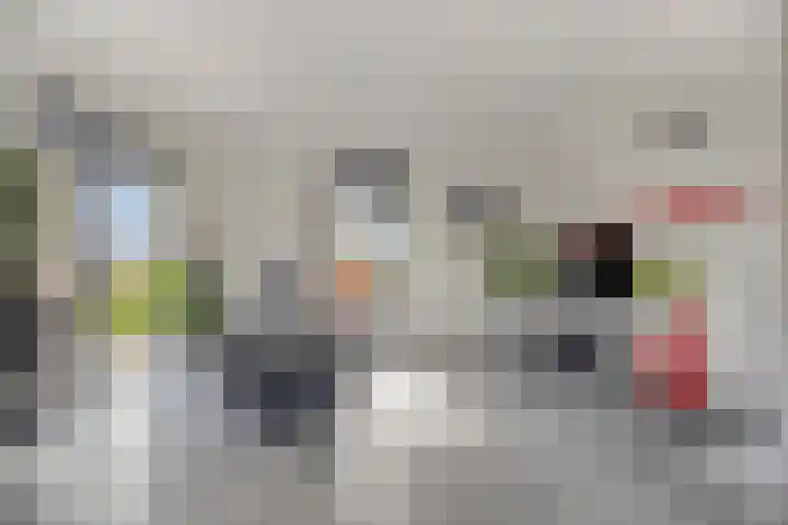 Zuidonder 14 Buinerveen thumbnail 12