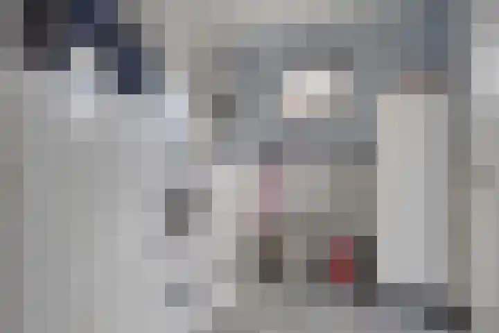 Zuidonder 14 Buinerveen thumbnail 19