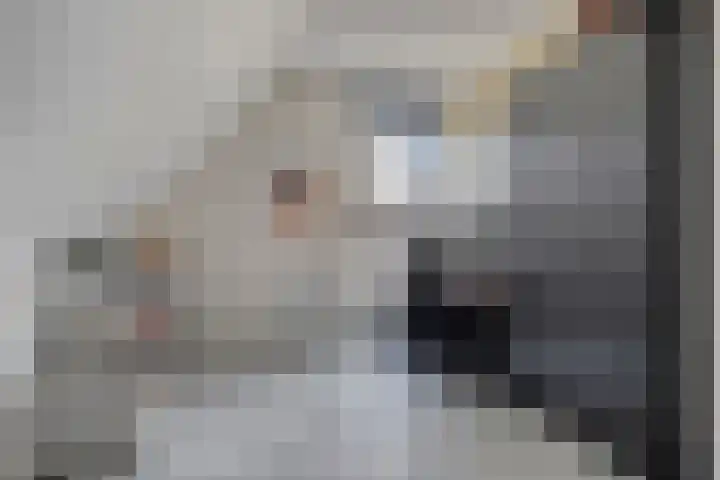 Zuidonder 14 Buinerveen thumbnail 23