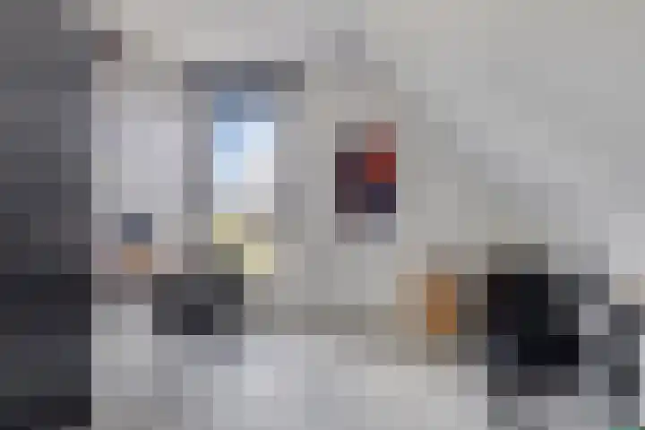 Zuidonder 14 Buinerveen thumbnail 25