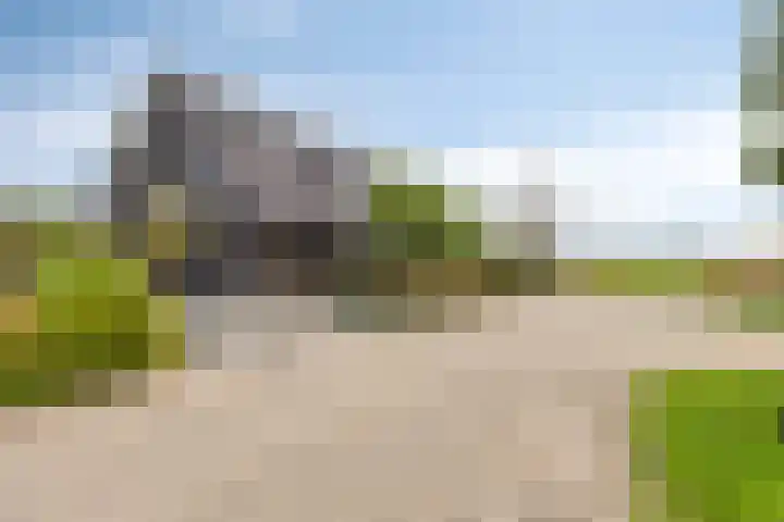 Zuidonder 14 Buinerveen thumbnail 30