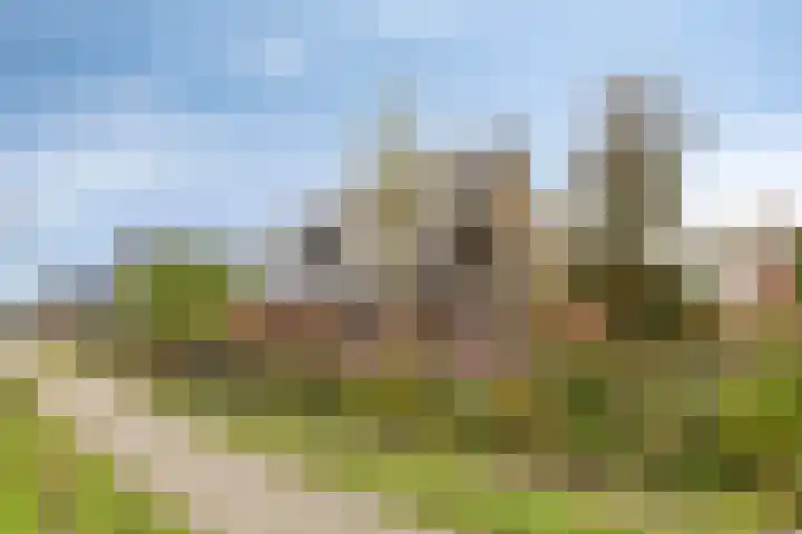Zuidonder 14 Buinerveen thumbnail 32