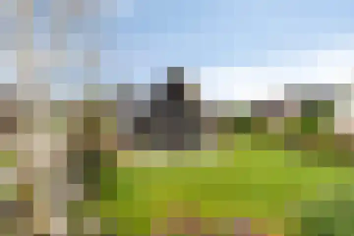Zuidonder 14 Buinerveen thumbnail 36