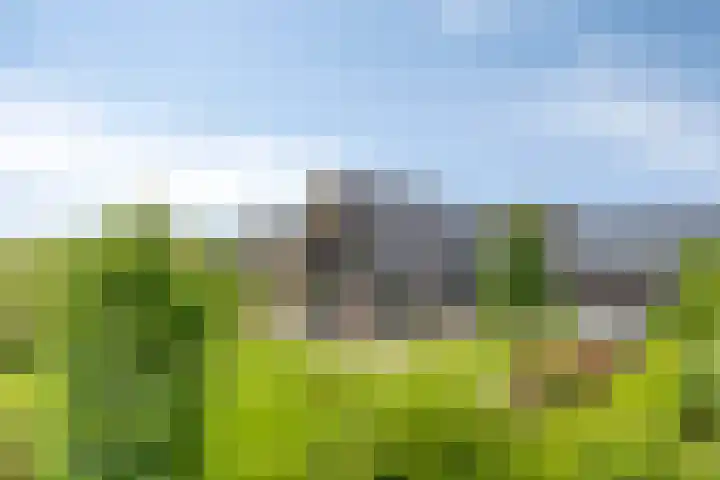 Zuidonder 14 Buinerveen thumbnail 37