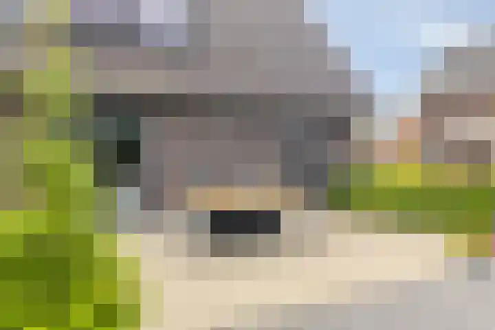 Zuidonder 14 Buinerveen thumbnail 40