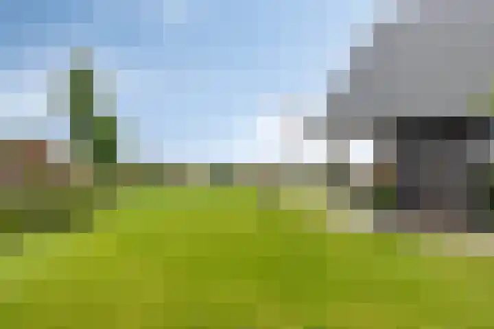 Zuidonder 14 Buinerveen thumbnail 41