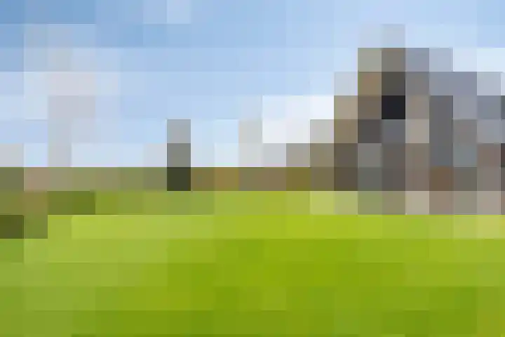 Zuidonder 14 Buinerveen thumbnail 42
