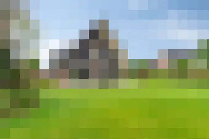 Zuidonder 14 Buinerveen thumbnail 43