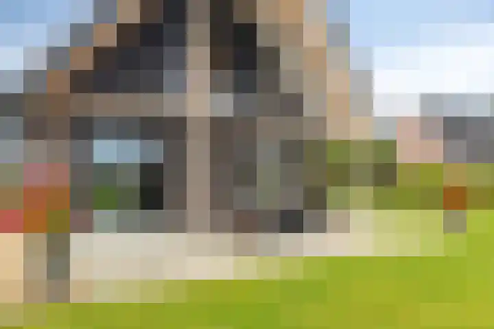 Zuidonder 14 Buinerveen thumbnail 44