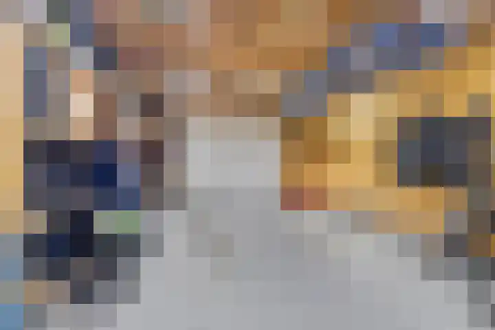 Zuidonder 14 Buinerveen thumbnail 46