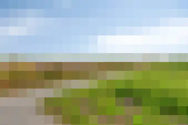 Zuidonder 14 Buinerveen thumbnail 47