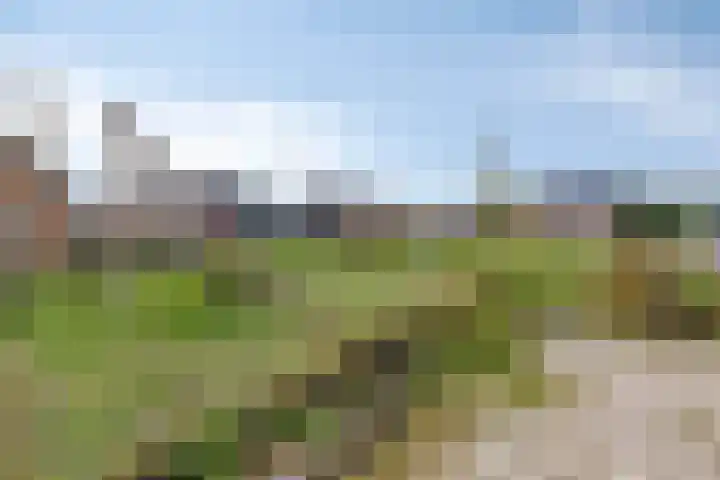 Zuidonder 14 Buinerveen thumbnail 48