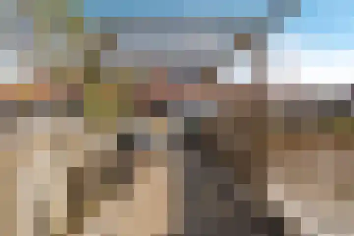 Zuidoosterfront 47 's-Hertogenbosch thumbnail 24