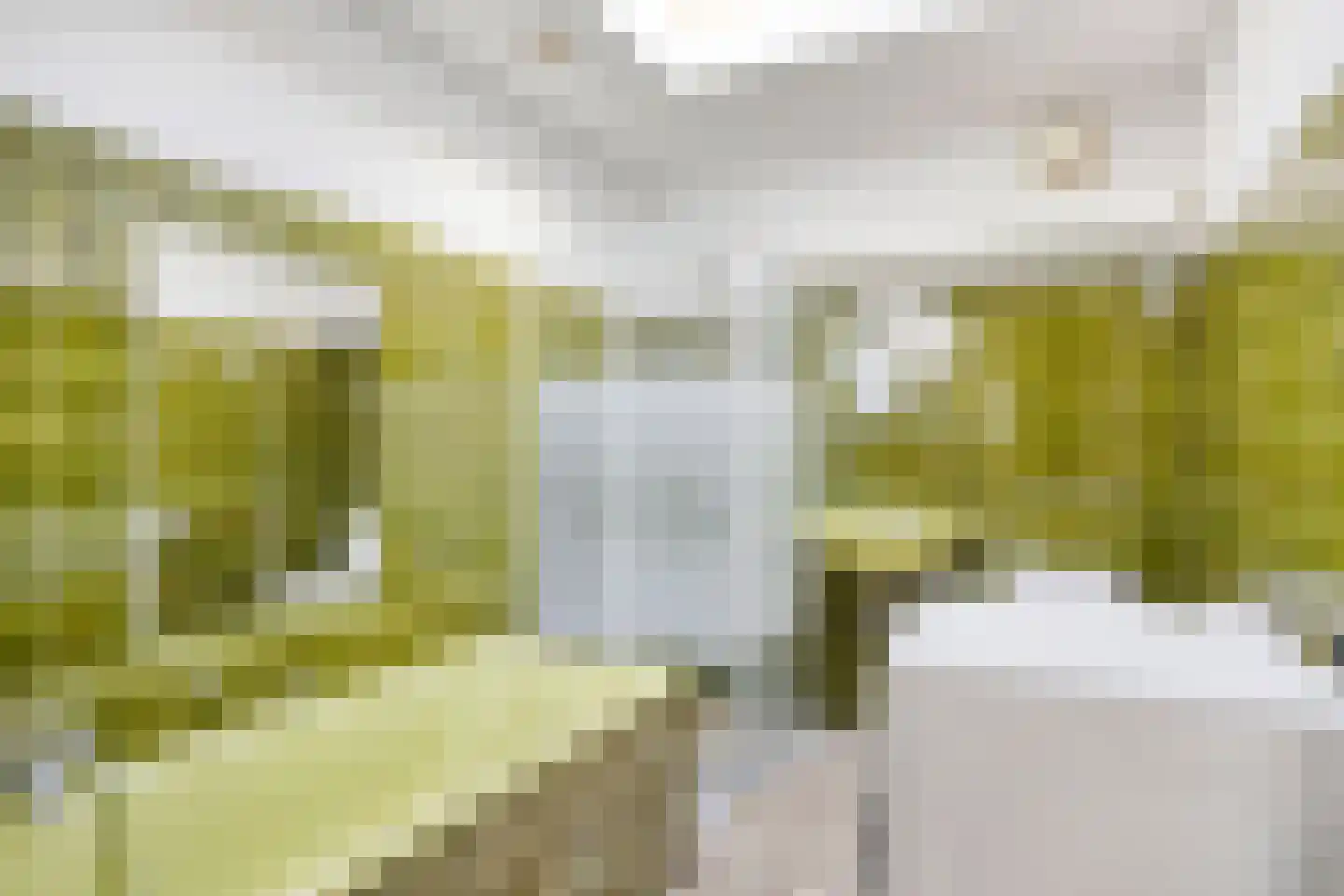 Zuidoosterfront 55 's-Hertogenbosch thumbnail 13