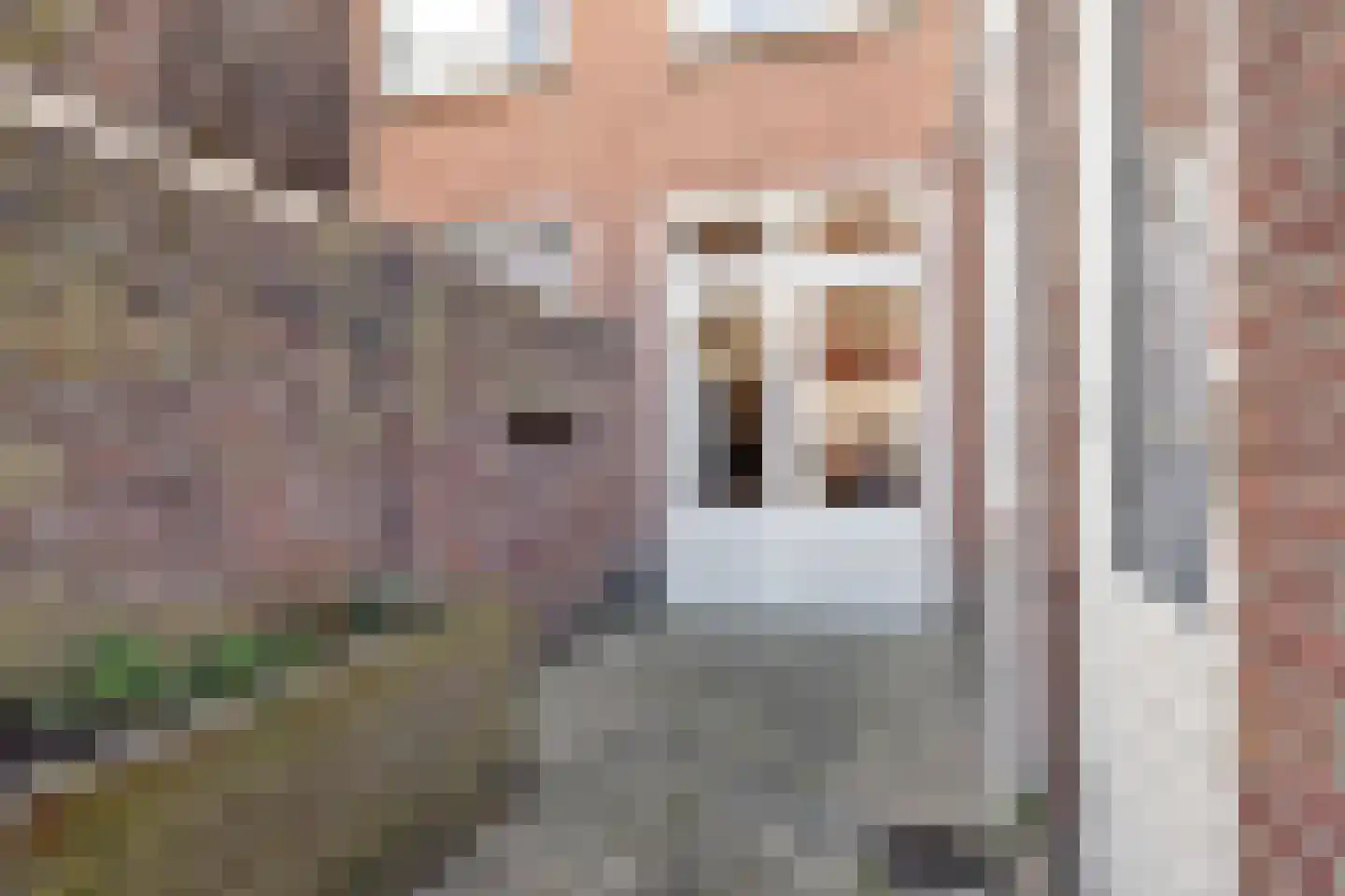 Zuidoosterfront 55 's-Hertogenbosch thumbnail 34