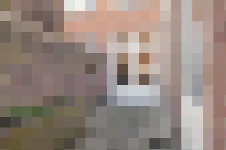 Zuidoosterfront 55 's-Hertogenbosch thumbnail 34