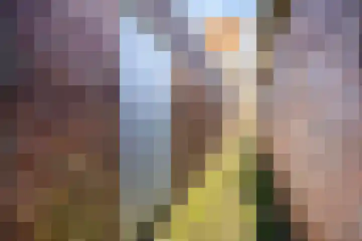 Zuidoosterfront 55 's-Hertogenbosch thumbnail 37