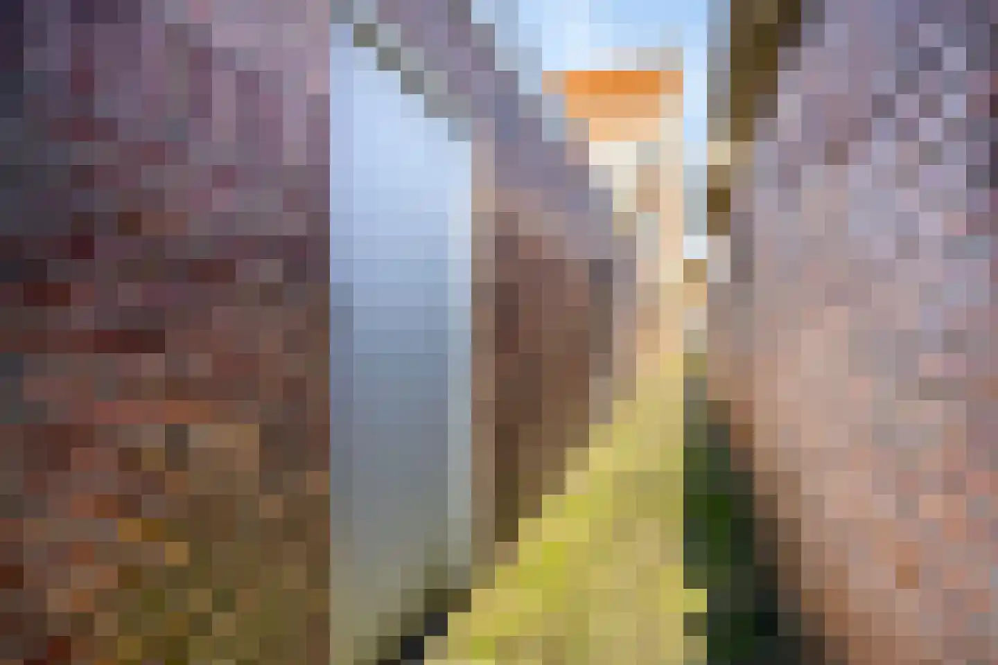 Zuidoosterfront 55 's-Hertogenbosch thumbnail 37