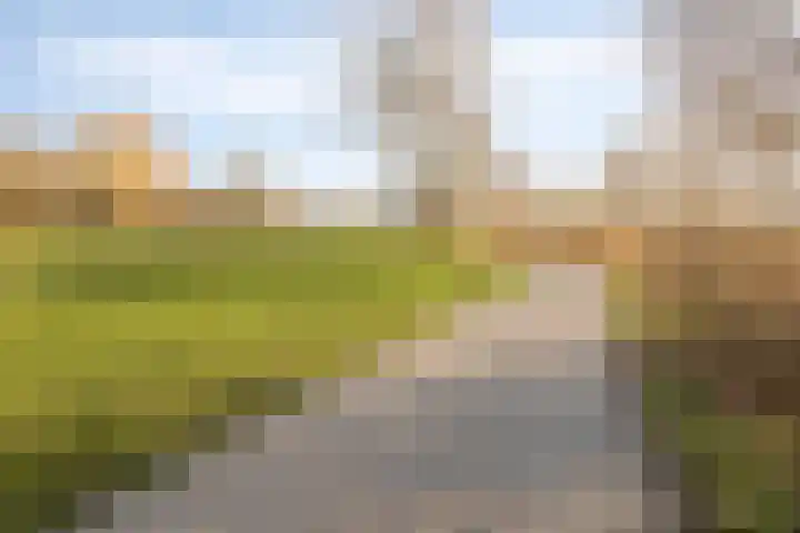Zuidoosterfront 55 's-Hertogenbosch thumbnail 40
