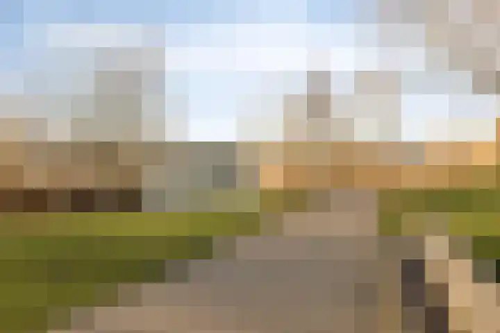 Zuidoosterfront 55 's-Hertogenbosch thumbnail 41