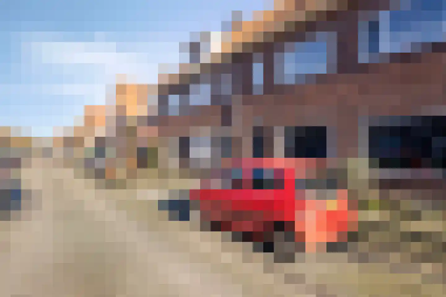 Zuidoosterfront 55 's-Hertogenbosch thumbnail 44