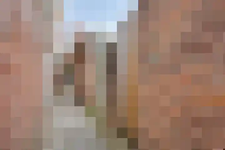 Zuidoosterfront 57 's-Hertogenbosch thumbnail 29