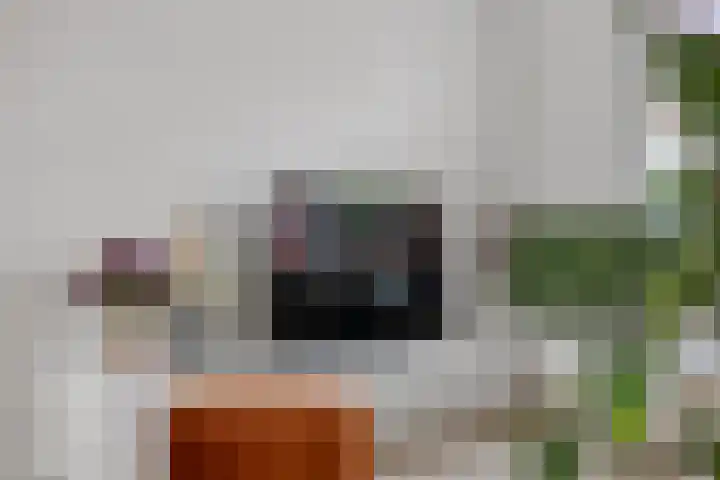Zuidoosterfront 66 's-Hertogenbosch thumbnail 10