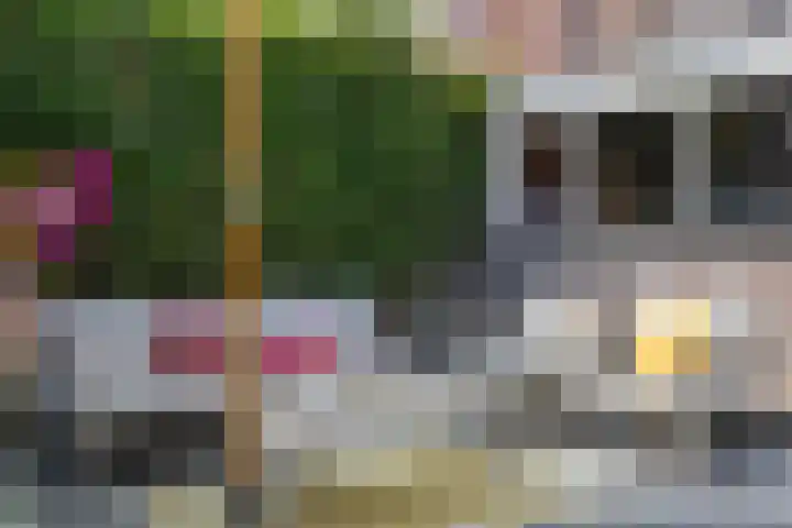 Zuidoosterfront 66 's-Hertogenbosch thumbnail 32