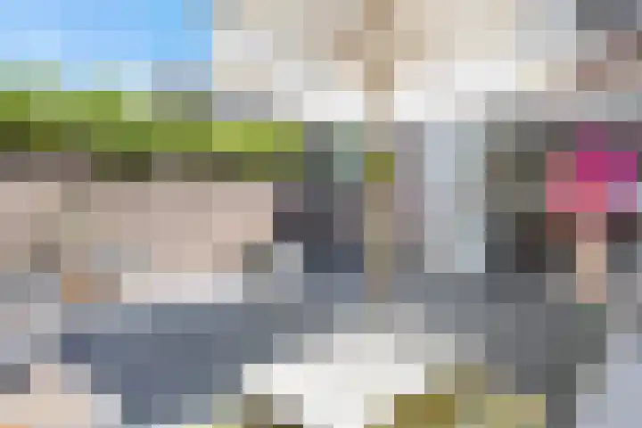 Zuidoosterfront 66 's-Hertogenbosch thumbnail 34