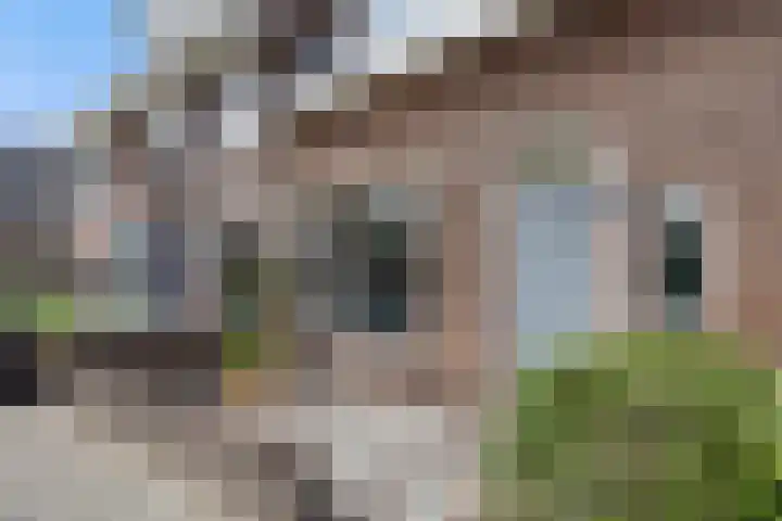 Zuidoosterfront 66 's-Hertogenbosch thumbnail 36