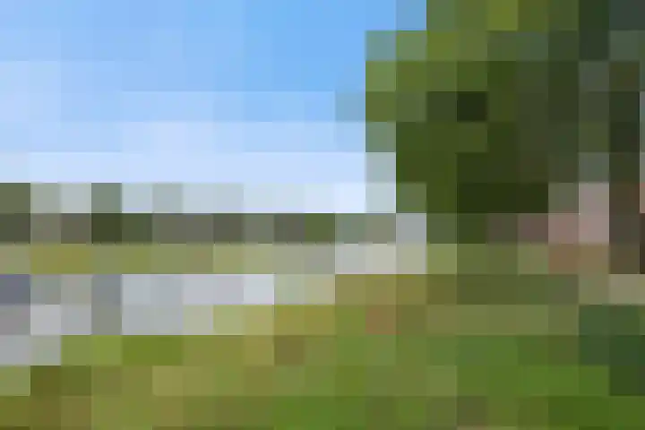 Zuidoosterfront 66 's-Hertogenbosch thumbnail 39