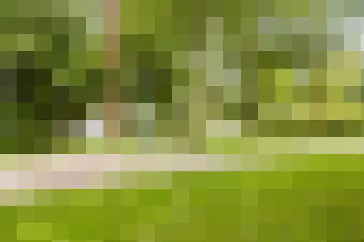 Zuidoosterfront 66 's-Hertogenbosch thumbnail 41