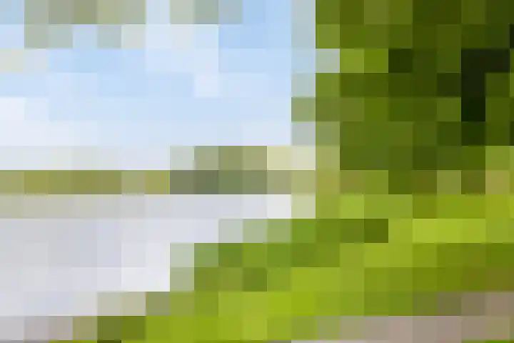 Zuidoosterfront 66 's-Hertogenbosch thumbnail 42