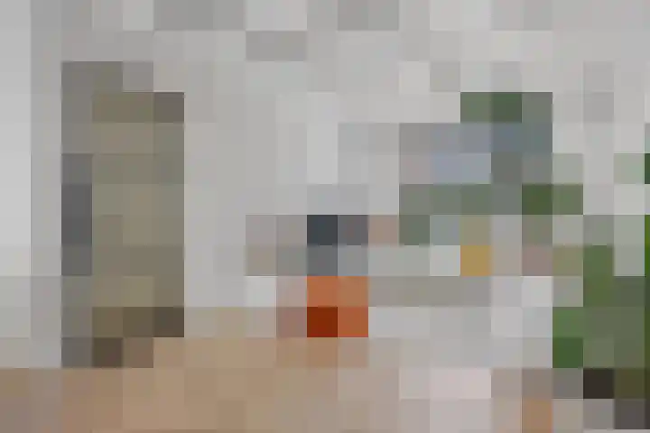 Zuidoosterfront 66 's-Hertogenbosch thumbnail 8