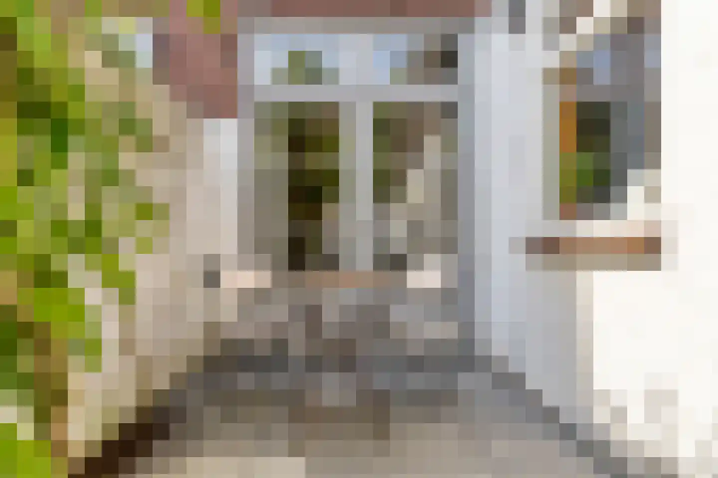 Zuidoosterfront 67 's-Hertogenbosch thumbnail 16